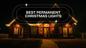 Best Permanent Christmas Lights