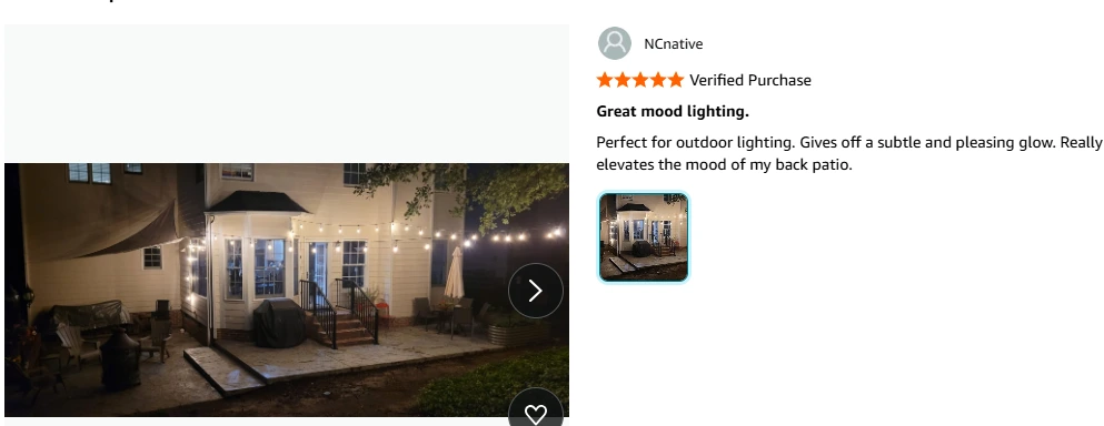 Feit Electric (48') led sting lights customer review
